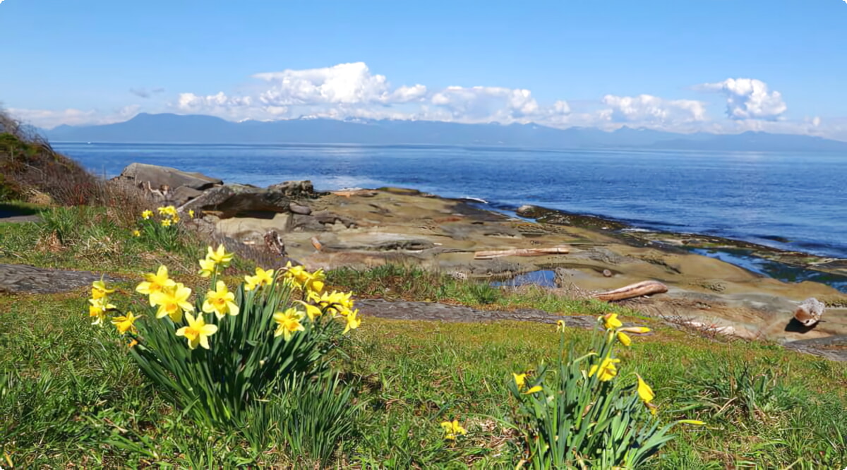 Melhores ofertas de aluguel de carros em Gabriola